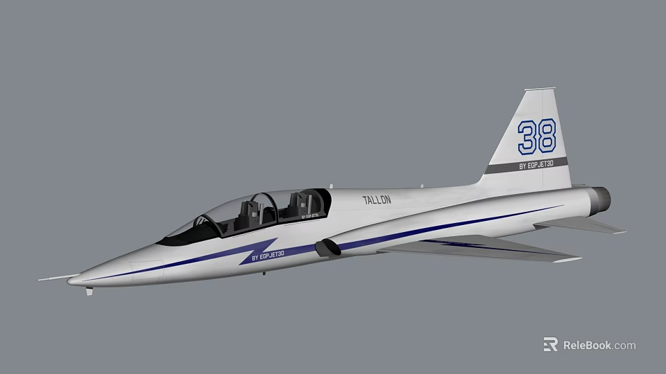 T38 Jet Trainer Aircraft With White Body Blue Stripes And Tail Number 38 3d model 