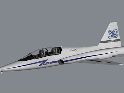 T38 Jet Trainer Aircraft With White Body Blue Stripes And Tail Number 38 3d model