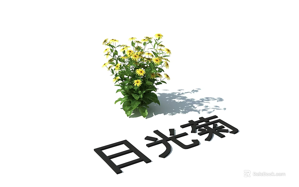 Vibrant Sunlight Chrysanthemum Potted Plant With Yellow Flowers And Green Leaves 3d model 