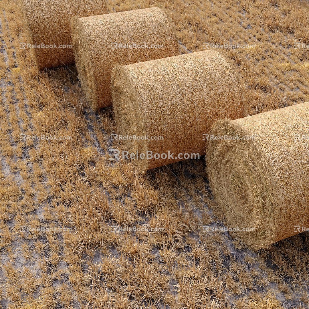 Farmland Hay Backs Combination Outdoor Farmland Field Grass Hay Backs Harvest Plants 3d model