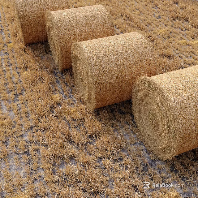 Round Hay Bales Arranged In Rural Agricultural Field With Dry Grass 3d model 
