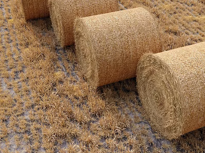 Round Hay Bales Arranged In Rural Agricultural Field With Dry Grass 3d model
