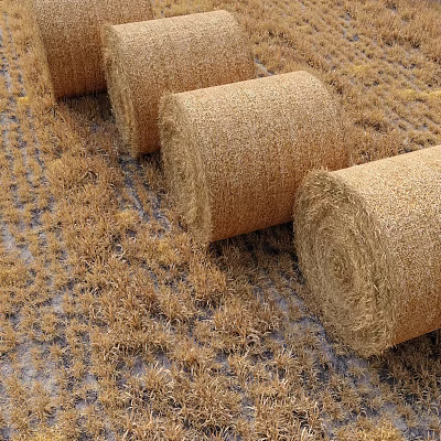 Round Hay Bales Arranged In Rural Agricultural Field With Dry Grass 3d model