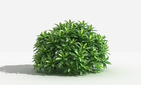 Modern Shrub Greyball 3d model