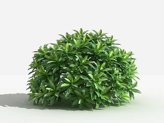 Modern Shrub Greyball 3d model