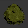 Green Leafy Plant Sphere With Fresh Round Decorative Foliage Design