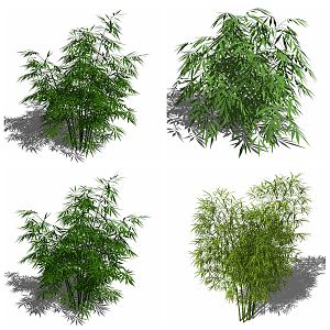 Modern bamboo flowers and plants 3d model