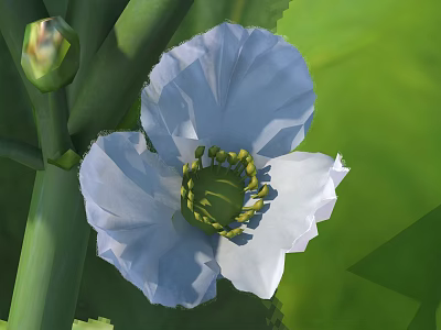 Blooming Light Blue Flower with Green Stamens and Bud on Green Leafy Background 3d model