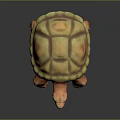 Turtle Cartoon Turtle Snapping Turtle Chickbill Turtle Reptile Cold Blooded Animal Reptile Class 3d model