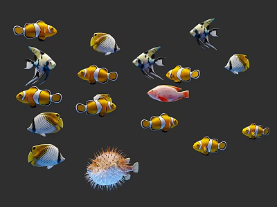 Modern little fish and clownfish little fish clownfish 3d model