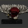 Sculptural Coral Structure With Grayish White Branches And Vibrant Red Center On Black Base