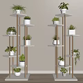 Modern Indoor Shelving Units Featuring Various Potted Plants In Minimalist Decor