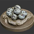 Fresh Small Quail Eggs Neatly Arranged on Wooden Plate with Parchment Paper
