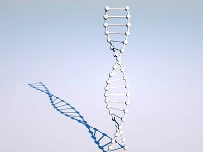 Silver DNA Double Helix Structure Medical Device for Biomedical Research 3d model
