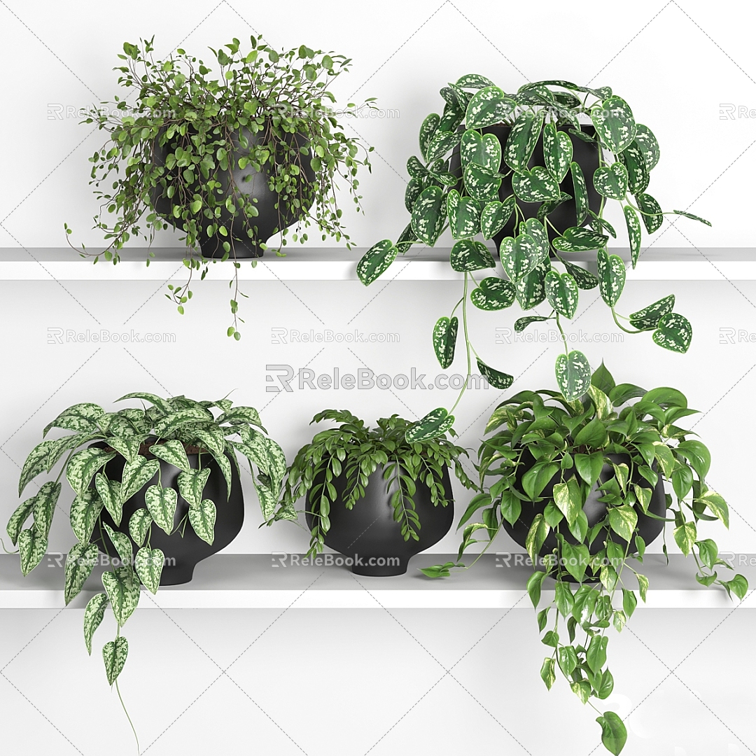 modern potted plant potted plant 3d model