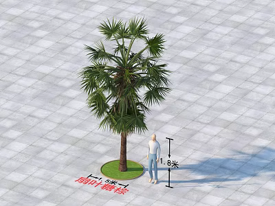 Mature Palm Tree as Arbor with 16 Meters Height on Square Tile Ground and Lawn 3d model