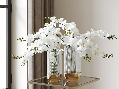 White Orchid Flowers In Transparent Striped Vases With Gold Base On Gold Metal Shelf 3d model