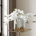White Orchid Flowers In Transparent Striped Vases With Gold Base On Gold Metal Shelf