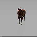 Realistic Brown Horse With Saddle And Bridle Standing On Dark Background