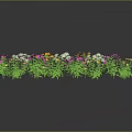 Colorful Garden Flowers with Pink Yellow White Blooms in Wavy Arrangement on Dark Background