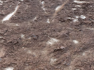 Natural Muddy Components With Scattered Snow Patches And Rough Textures 3d model