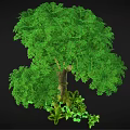Cartoon Scene Featuring Lush Green Tree With Mossy Trunk And Small Plants