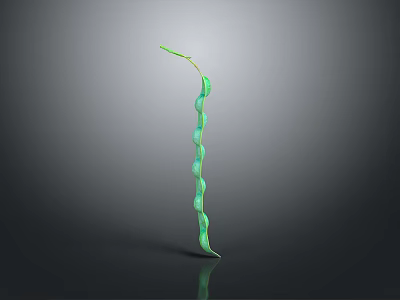 Long Vertical Green Pod Like Structure With Cylindrical Segments Stem On Gray Background And Shiny Reflection 3d model