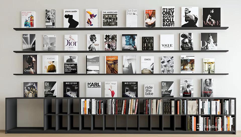 Books and Magazines with Colorful and Black White Covers Neatly Arranged on Modern Bookshelves 3d model 