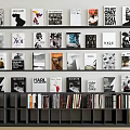 Books and Magazines with Colorful and Black White Covers Neatly Arranged on Modern Bookshelves
