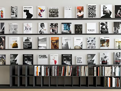 Books and Magazines with Colorful and Black White Covers Neatly Arranged on Modern Bookshelves 3d model