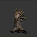 Natural Tree Stump With Rough Bark Broken Parts And Exposed Roots