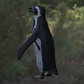 Flying Animal Penguin With Black And White Feathers And Spots Standing On Grassland