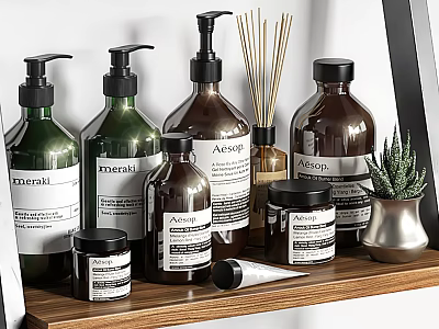 Stylish Bathroom Accessories with Pump Bottles Reed Diffusers and Small Plant on Wooden Shelf 3d model