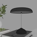 Modern Black Table Lamp With Silver Pole Round Lampshade On Tabletop Green Leaves And Books