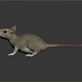 Cute 3D Mouse Character With Gray Body Pink Ears And Long Tail
