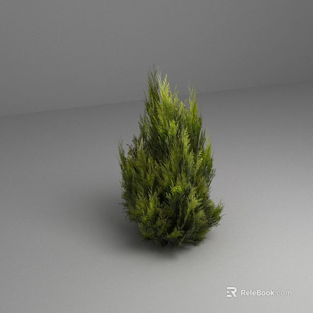 Lush Green Evergreen Shrub With Dense Foliage Isolated On Gray Background 3d model 
