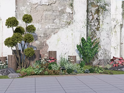 Varied Plant Combination with Spherical Trees Large Leaf Plants Flowers and Shrubs by Weathered Wall 3d model