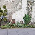 Varied Plant Combination with Spherical Trees Large Leaf Plants Flowers and Shrubs by Weathered Wall