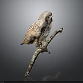 Snowy Owl With White And Brown Feathers Perched On Tree Branch Against Dark Background