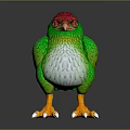Colorful Bird with Red Head Green Body White Belly Orange Feet and White Claws