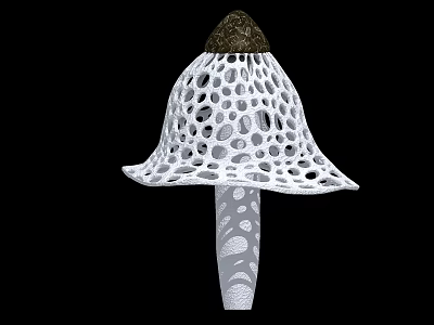 White Mushroom Shaped Vegetable with Pitted Surface and Brown Top 3d model