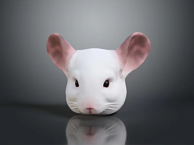 White Mouse Head with Pink Ears Black Eyes Pink Nose and Reflection on Gray Background 3d model