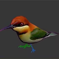 Colorful Bird With Red Head Yellow Throat And Green Back Standing On Black Background