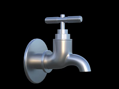 Modern Wall Mounted Silver Metal Water Faucet With Knob Handle Design 3d model
