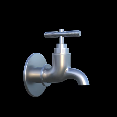 Modern Wall Mounted Silver Metal Water Faucet With Knob Handle Design 3d model