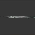 Greenish Blue Needlefish With Long Beak Swimming On Gray Background With Reflection