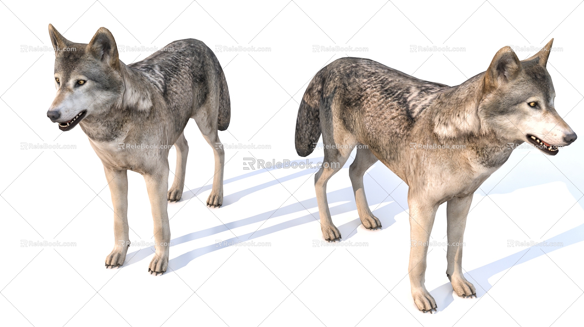 animal wolf mammal 3d model