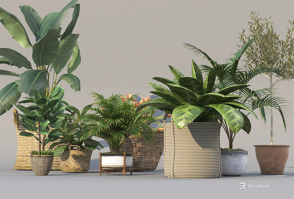 Various Potted Plants with Lush Green Leaves and Woven Ceramic Planters for Indoor Decor 3d model 