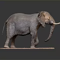 Detailed Gray Elephant Sculpture with Ivory Tusks Standing on Pink Base