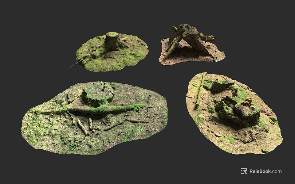 Natural Forest Floor Scenes With Moss Covered Tree Stumps And Twigs 3d model 
